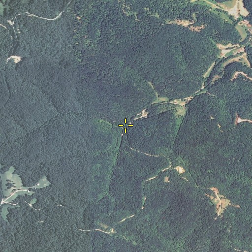 Aerial/Satellite Image of Johnson Branch, KY