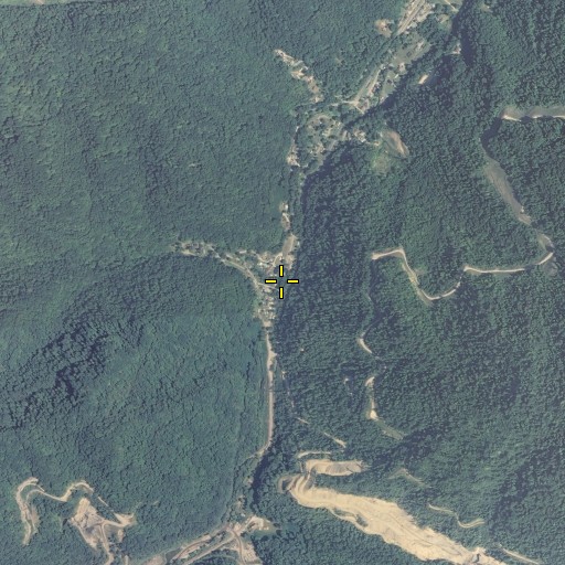 Aerial/Satellite Image of Jones Branch, KY