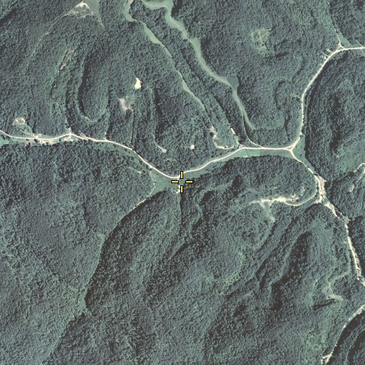 Aerial/Satellite Image of Joseph Branch, KY