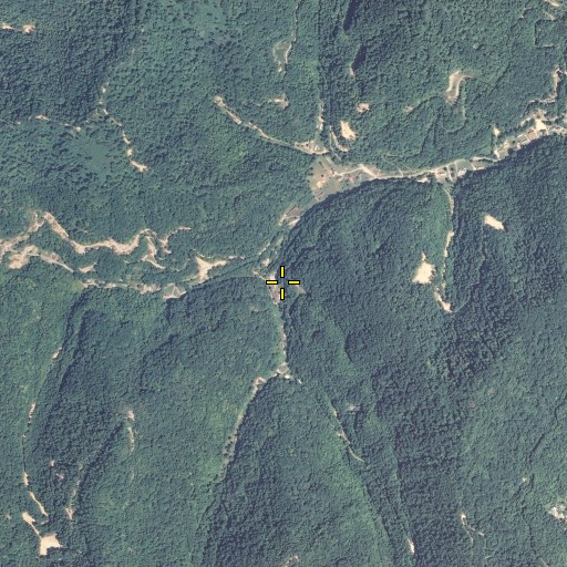 Aerial/Satellite Image of Kate Fork, KY