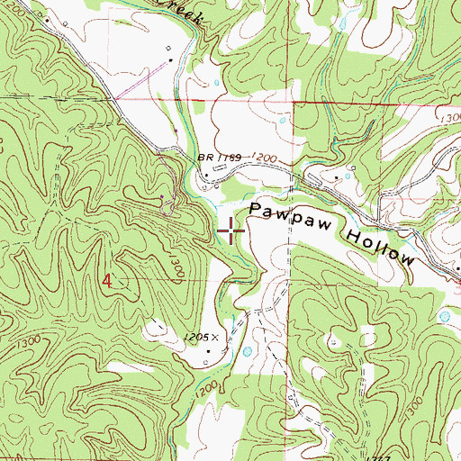 Topographic Map of Grape Hollow, AR