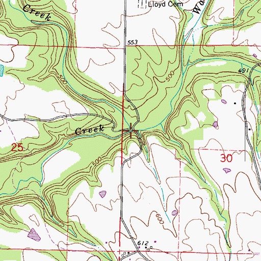 Topographic Map of Grassy Creek, AR