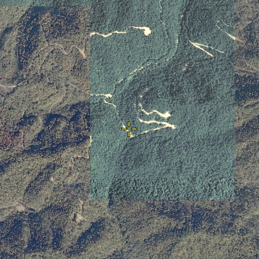 Aerial/Satellite Image of Lane Fork, KY