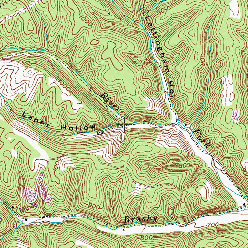 Topographic Map of Laney Hollow, KY