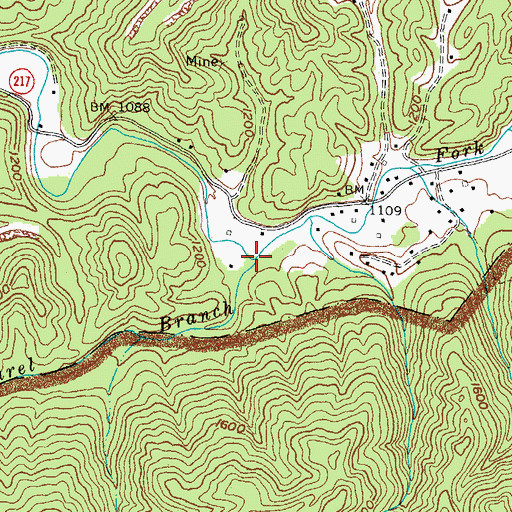 Topographic Map of Laurel Branch, KY