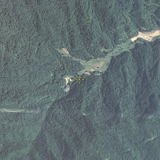 Aerial/Satellite Image of Laurel Branch, KY