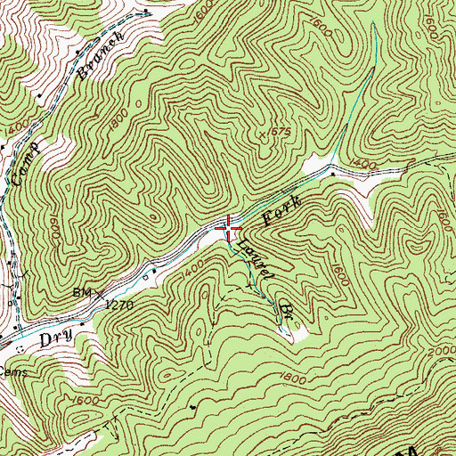 Topographic Map of Laurel Branch, KY