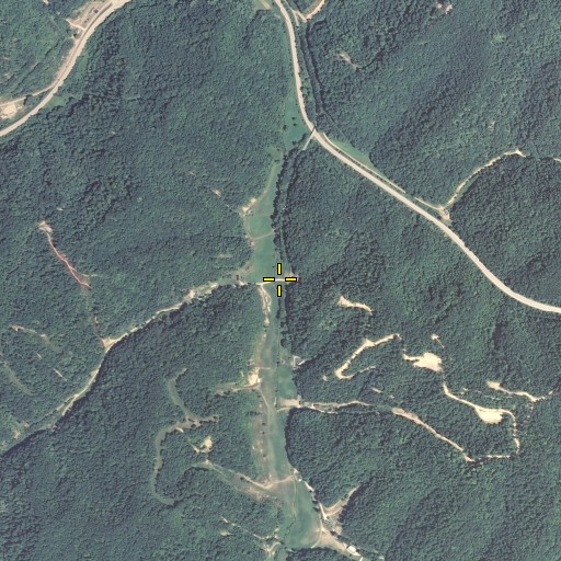 Aerial/Satellite Image of Laurel Branch, KY