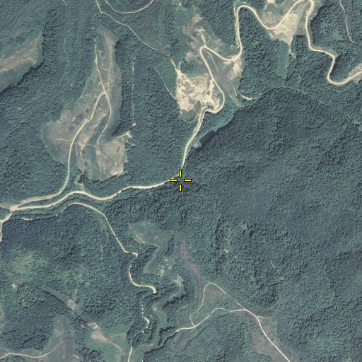 Aerial/Satellite Image of Laurel Fork, KY