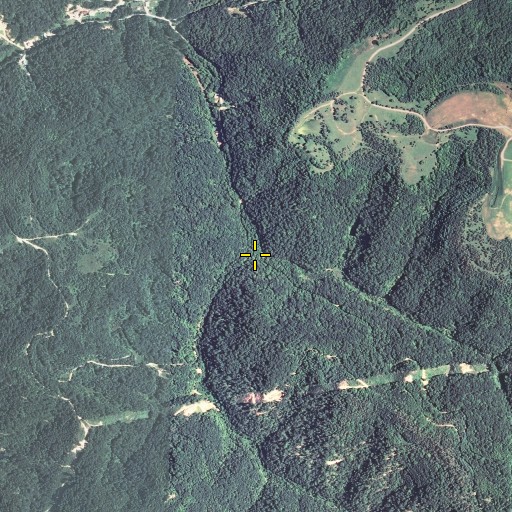 Aerial/Satellite Image of Laurel Fork, KY