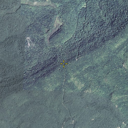 Aerial/Satellite Image of Lee Gap, KY