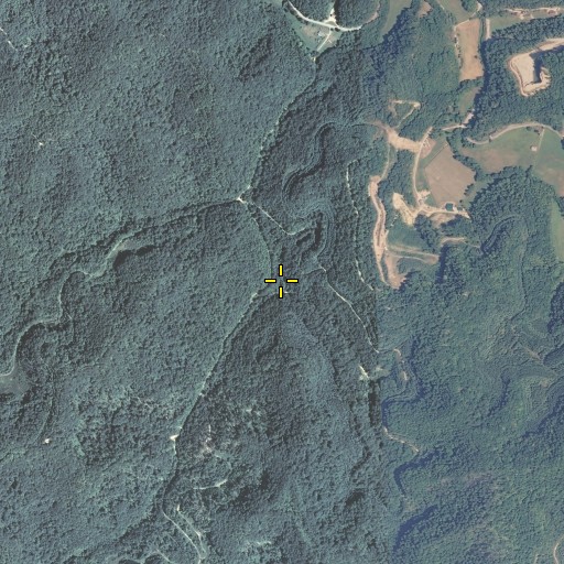 Aerial/Satellite Image of Left Fork Beetree Branch, KY