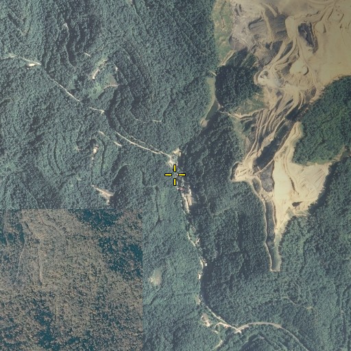 Aerial/Satellite Image of Left Fork Lick Branch, KY