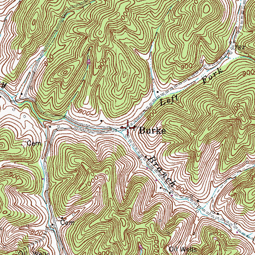 Topographic Map of Left Fork Rocky Branch, KY