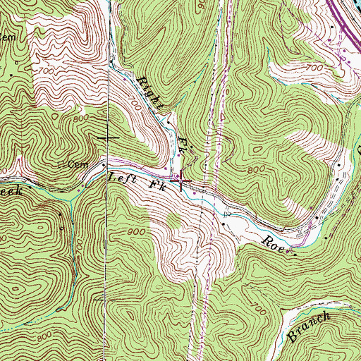 Topographic Map of Left Fork Roe Creek, KY