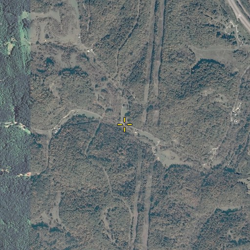 Aerial/Satellite Image of Left Fork Roe Creek, KY