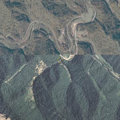 Aerial/Satellite Image of Left Fork Spring Branch, KY