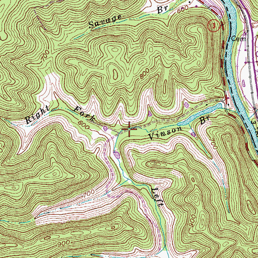 Topographic Map of Left Fork Vinson Branch, KY