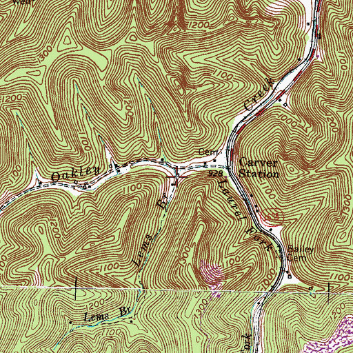 Topographic Map of Lems Branch, KY