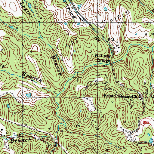 Topographic Map of Lester Branch, KY