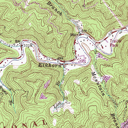 Topographic Map of Lick Branch, KY