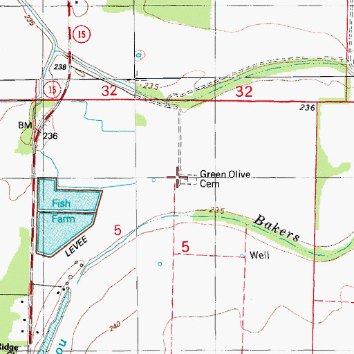 Topographic Map of Green Olive Church, AR