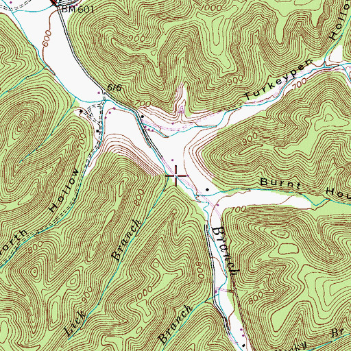 Topographic Map of Lick Branch, KY