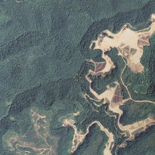 Aerial/Satellite Image of Lick Fork, KY