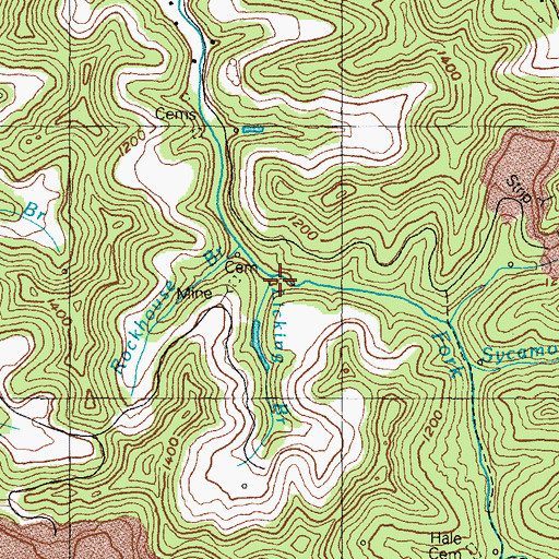 Topographic Map of Licking Branch, KY