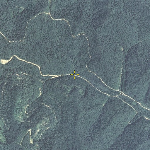 Aerial/Satellite Image of Licklog Branch, KY