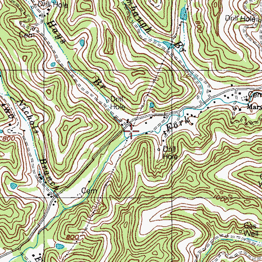 Topographic Map of Lige Hays Branch, KY