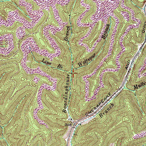 Topographic Map of Line Branch, KY