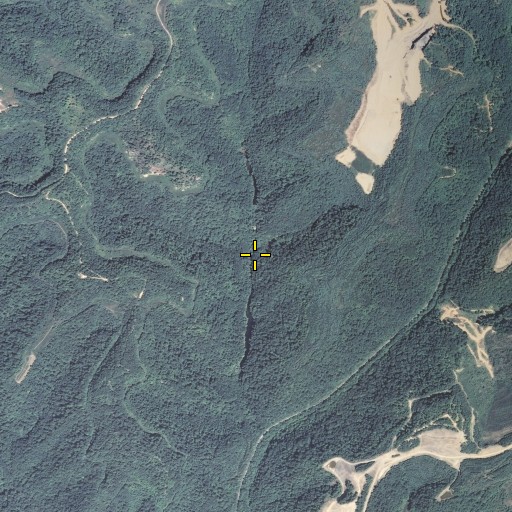 Aerial/Satellite Image of Line Branch, KY