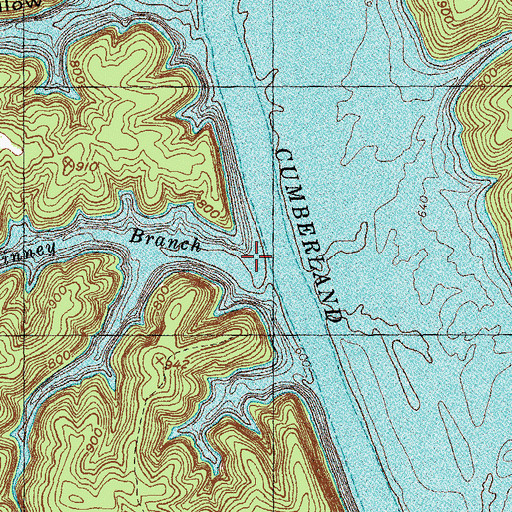 Topographic Map of Linney Branch, KY