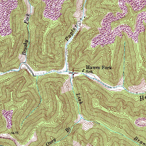 Topographic Map of Lish Branch, KY