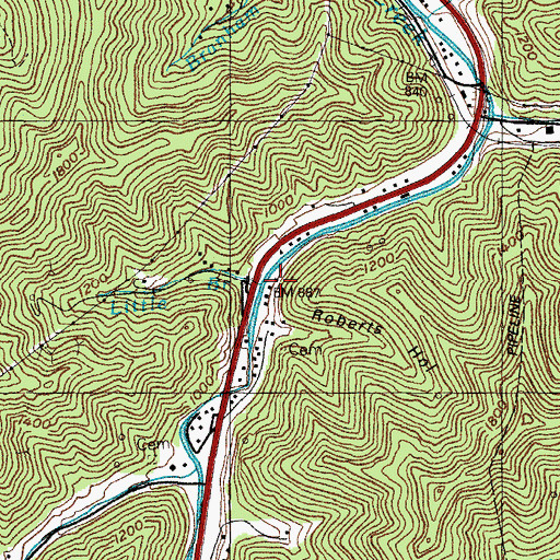 Topographic Map of Little Branch, KY