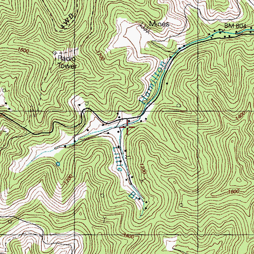 Topographic Map of Little Branch, KY