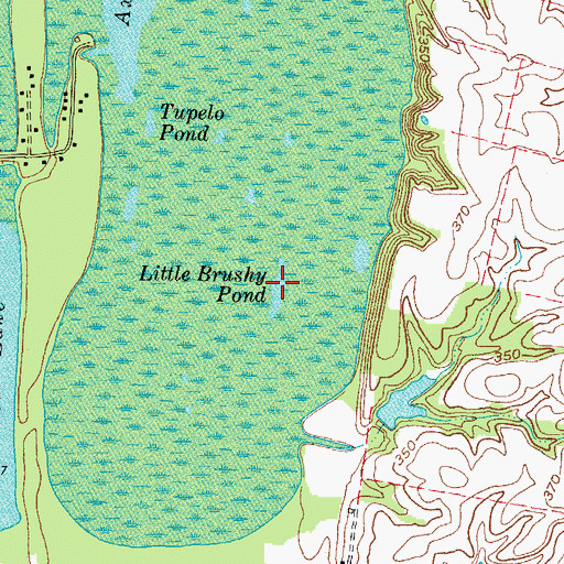 Topographic Map of Little Brushy Pond, KY
