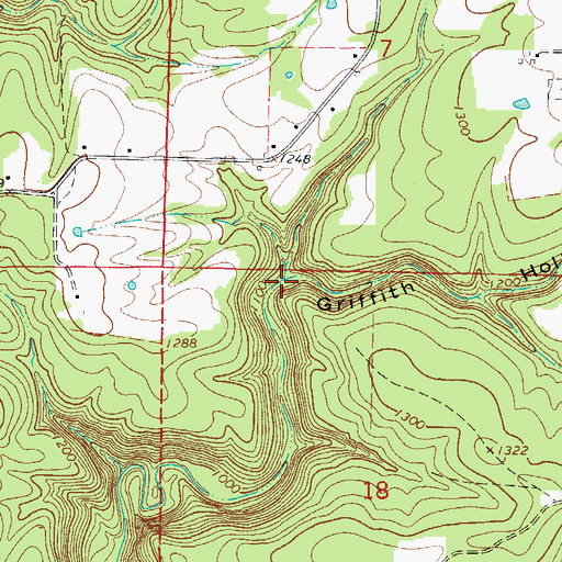 Topographic Map of Griffin Hollow, AR