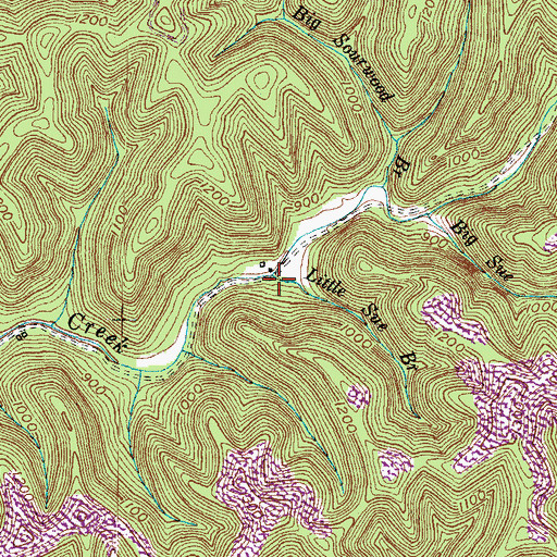Topographic Map of Little Sue Branch, KY
