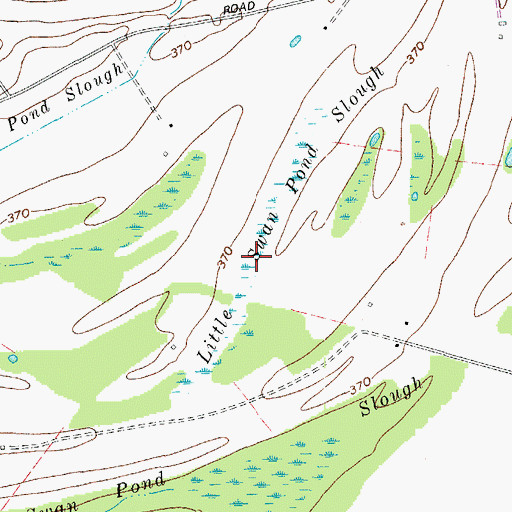 Topographic Map of Little Swan Pond Slough, KY