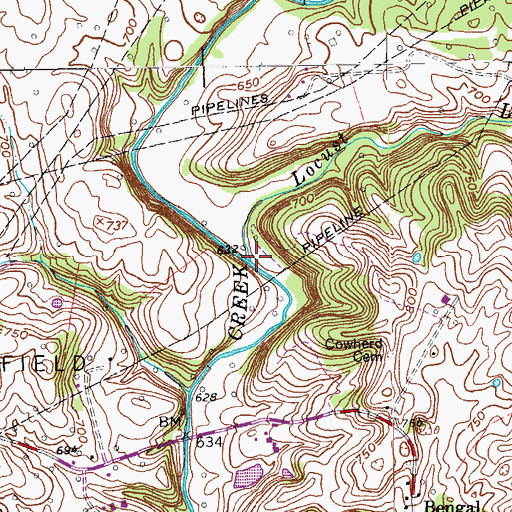 Topographic Map of Locust Lick Branch, KY