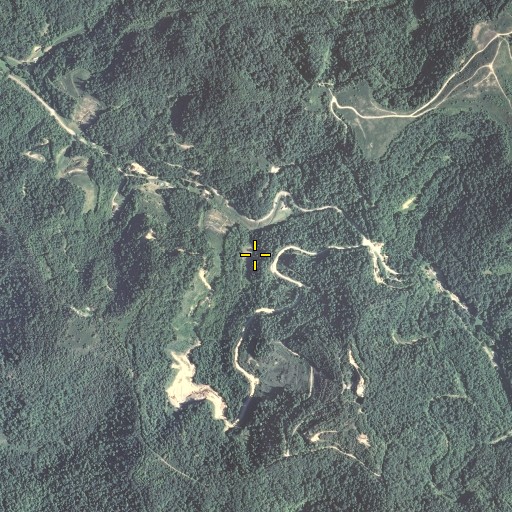 Aerial/Satellite Image of Logan Gap, KY