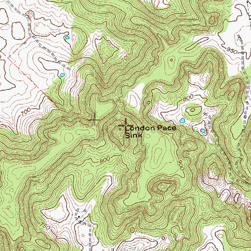 Topographic Map of London Pace Sink, KY