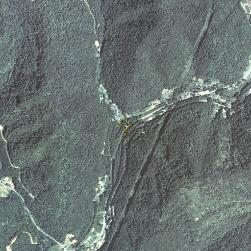 Aerial/Satellite Image of Long Branch, KY