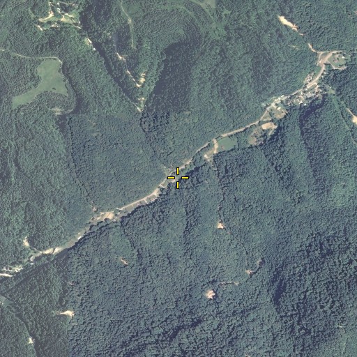 Aerial/Satellite Image of Long Branch, KY