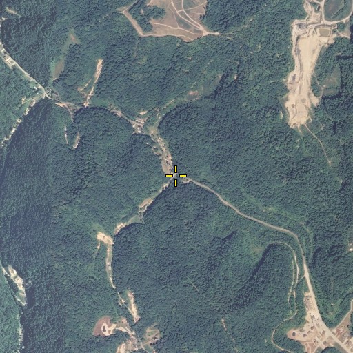 Aerial/Satellite Image of Long Branch, KY