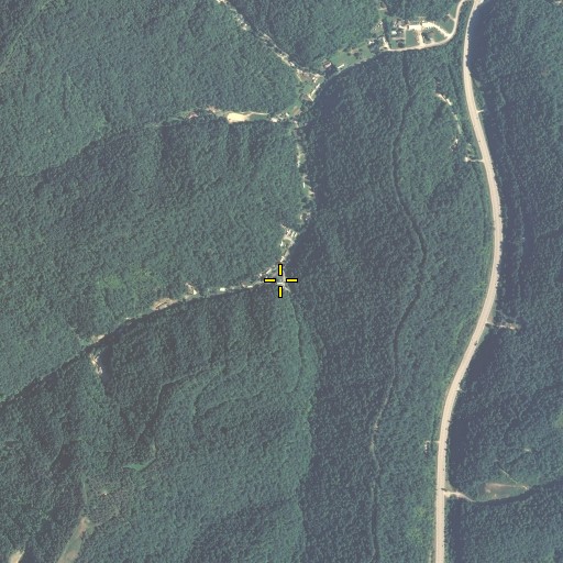 Aerial/Satellite Image of Long Branch, KY
