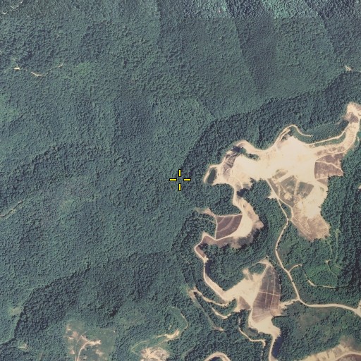 Aerial/Satellite Image of Long Branch, KY