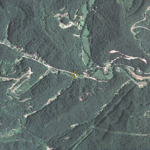 Aerial/Satellite Image of Long Branch, KY